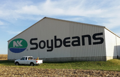 NK Soybean logo painting on barn