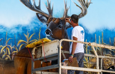 whitetail buck mural painting