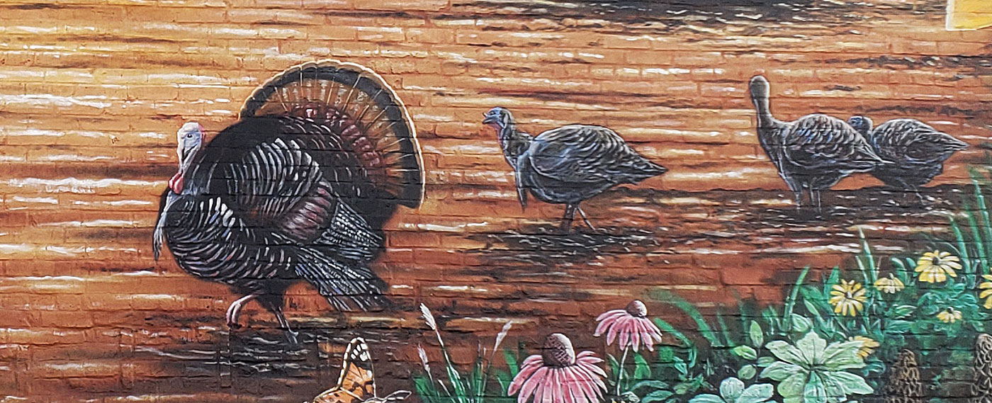 turkey hunting mural