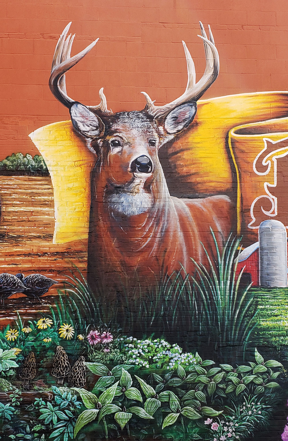 whitetail deer mural painting