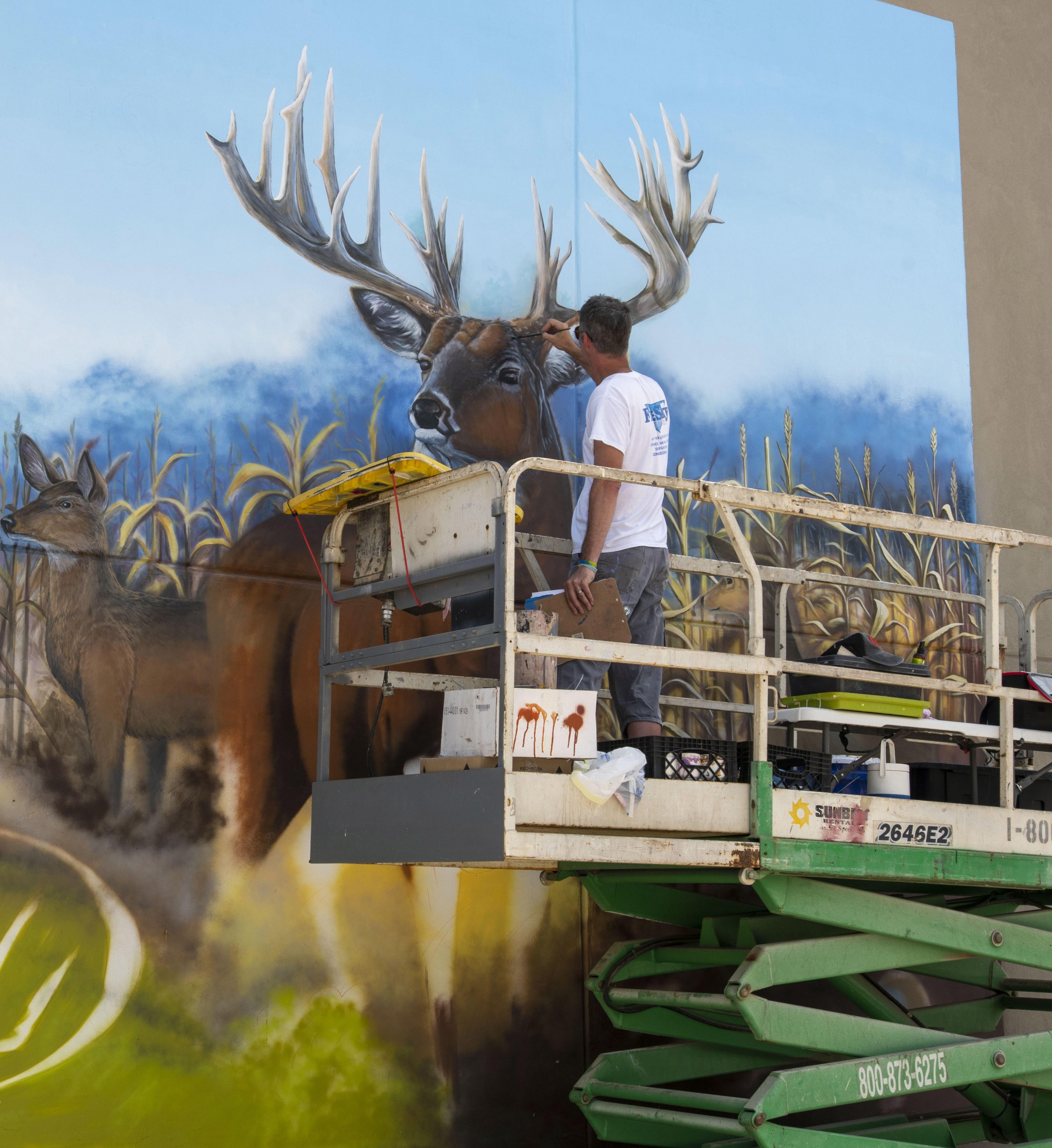 Troy Freeman painting whitetail buck mural painting